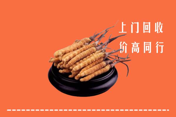 鹰潭回收冬虫夏草