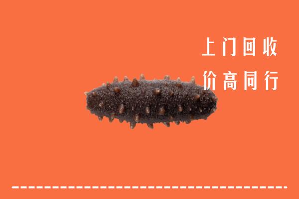 鹰潭回收海参